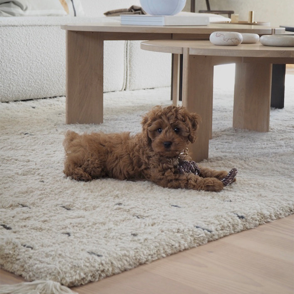 Baumwollknoten Otto - in versch. Farben