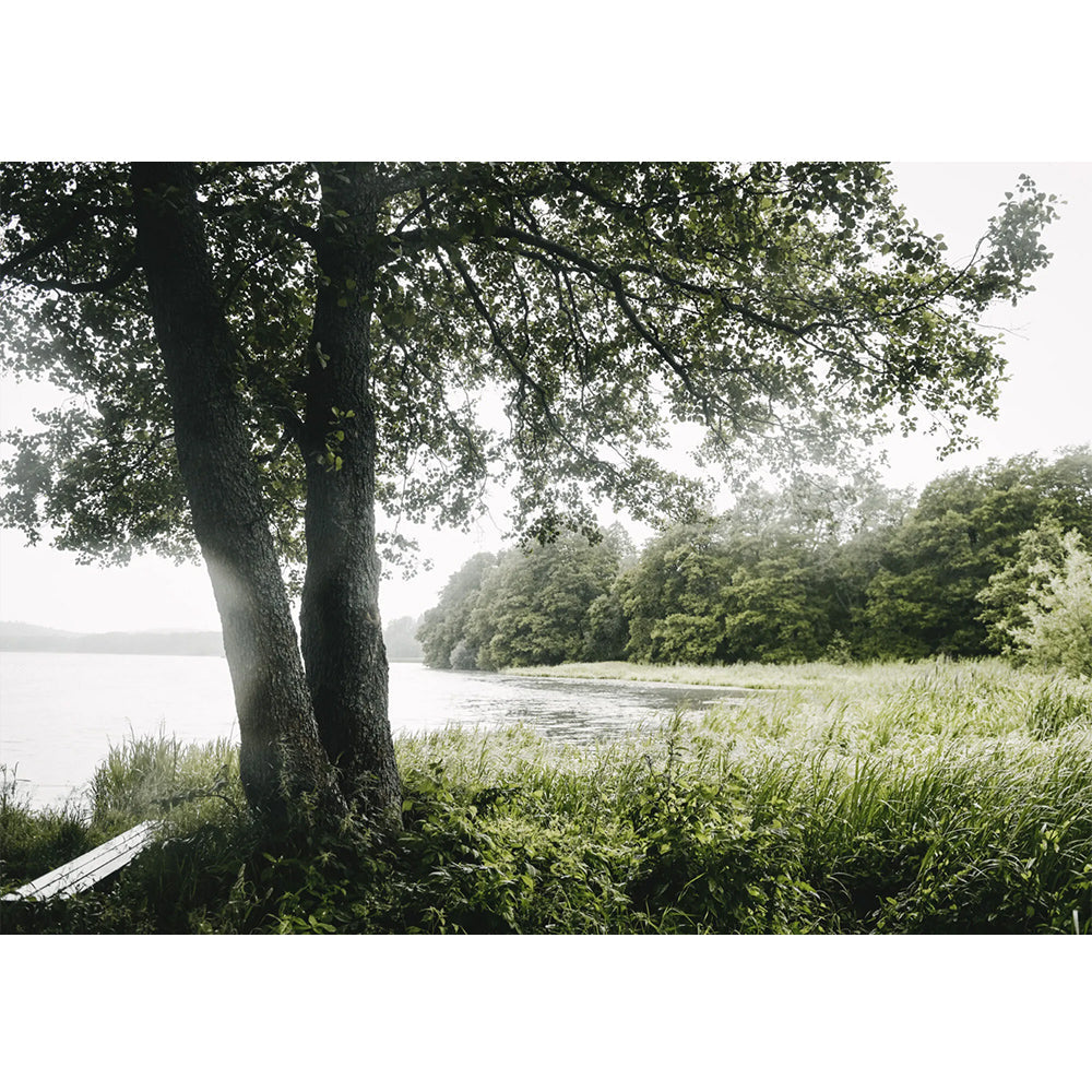 Buch - Vegalicious Cheesecakes