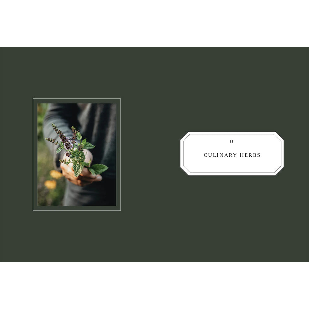 Buch - Living with Herbs