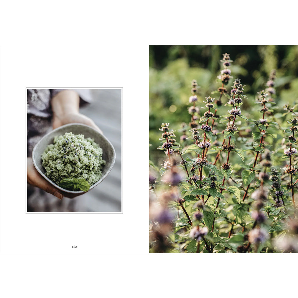 Buch - Living with Herbs
