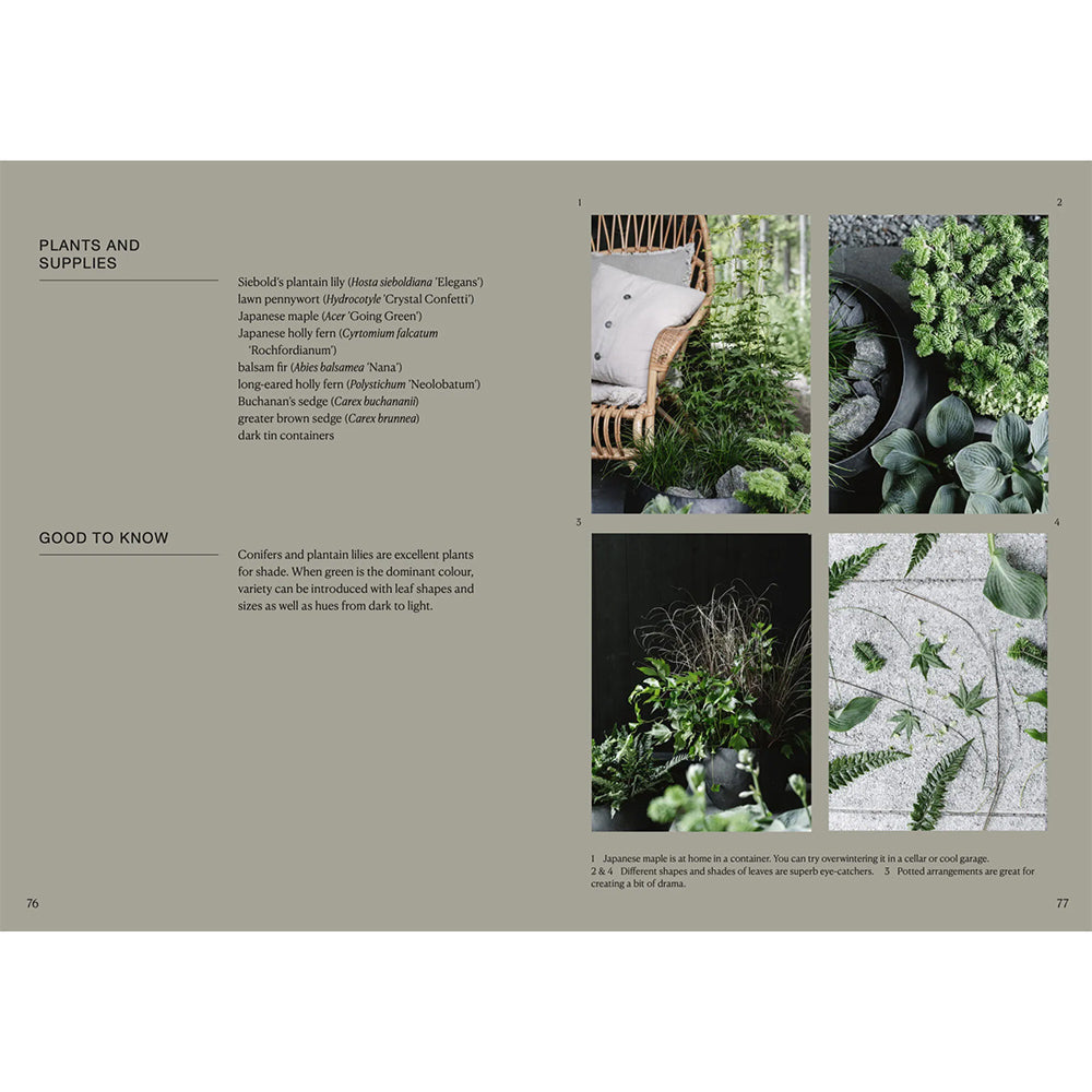 Buch - The Potted Garden - All Year Round