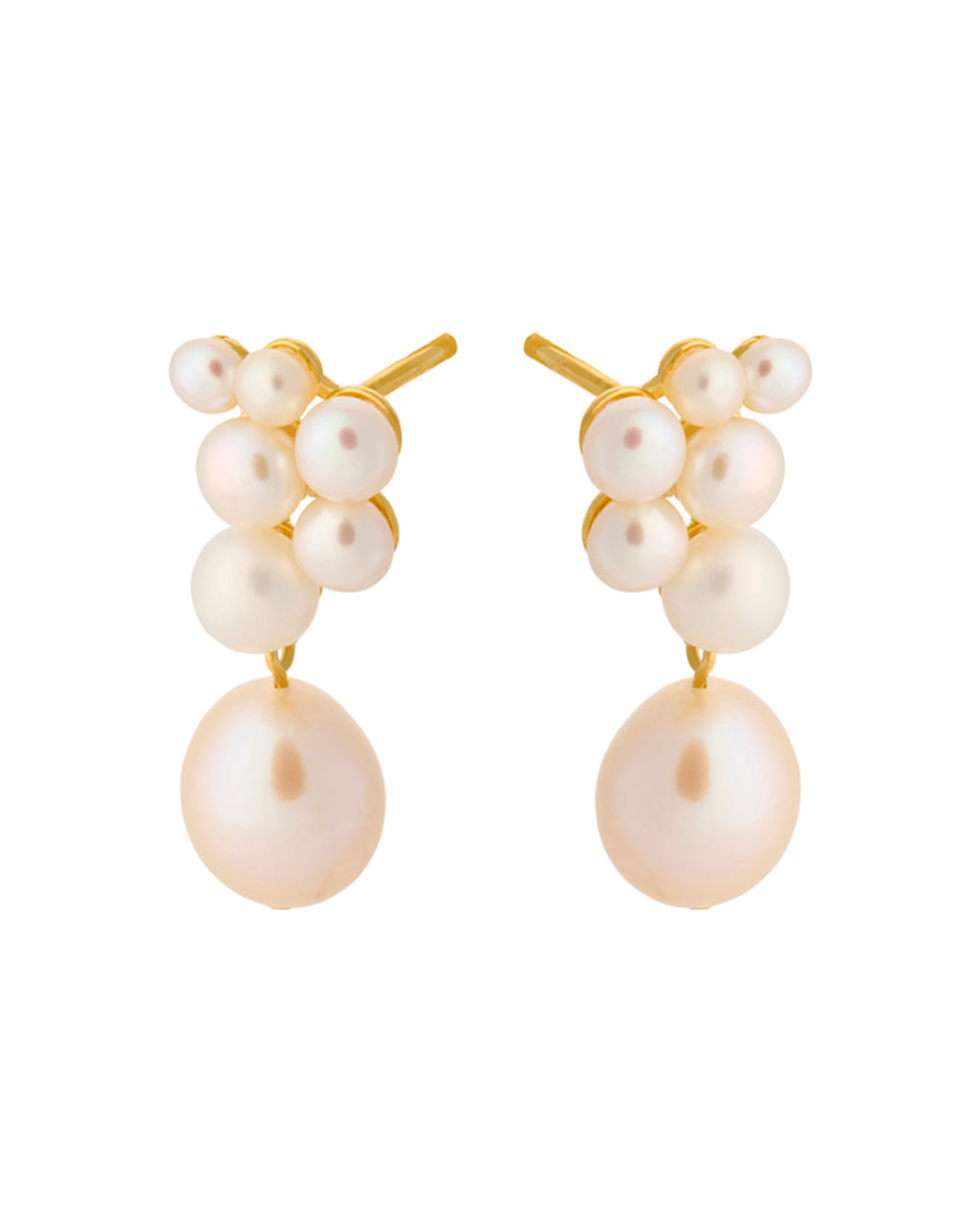 Ohrstecker Ocean Treasure - gold