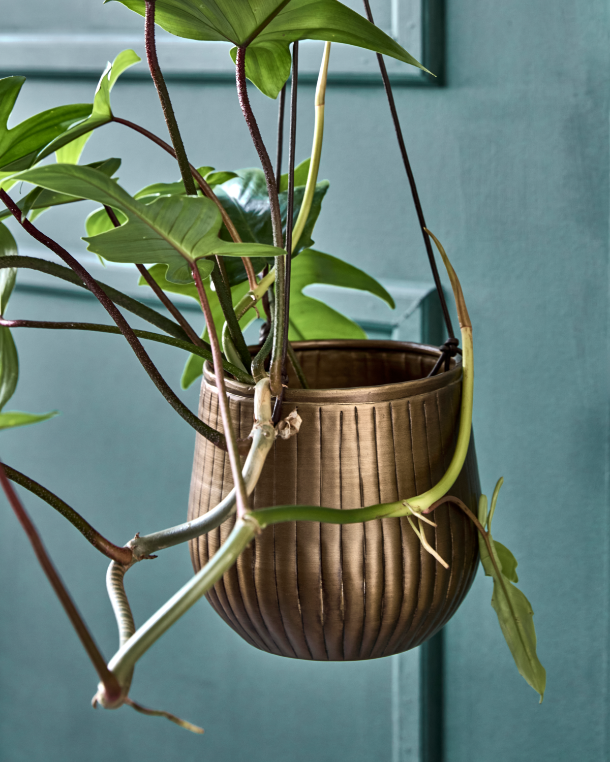 Blumentopf Plan - 2er Set