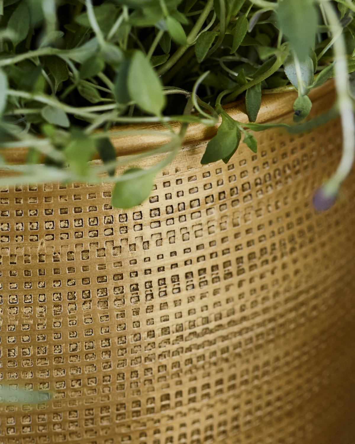 Blumentopf Spot - 2er Set