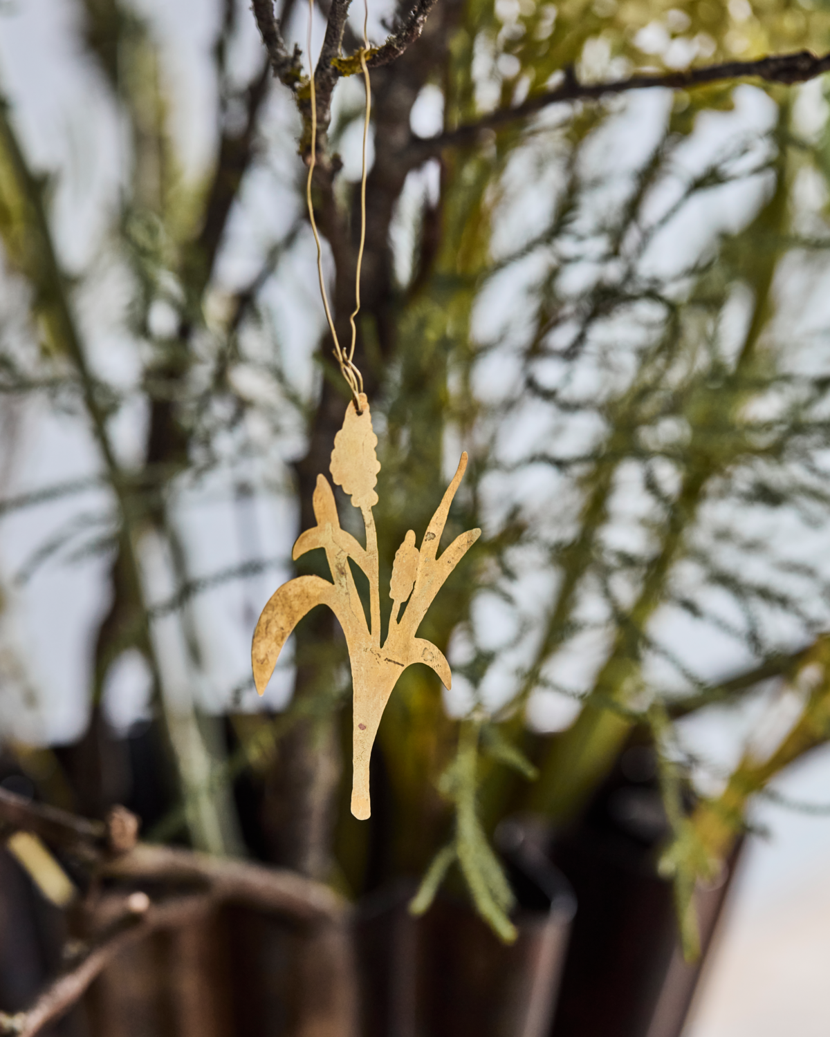 Blumenornamente Lilly 3er Set