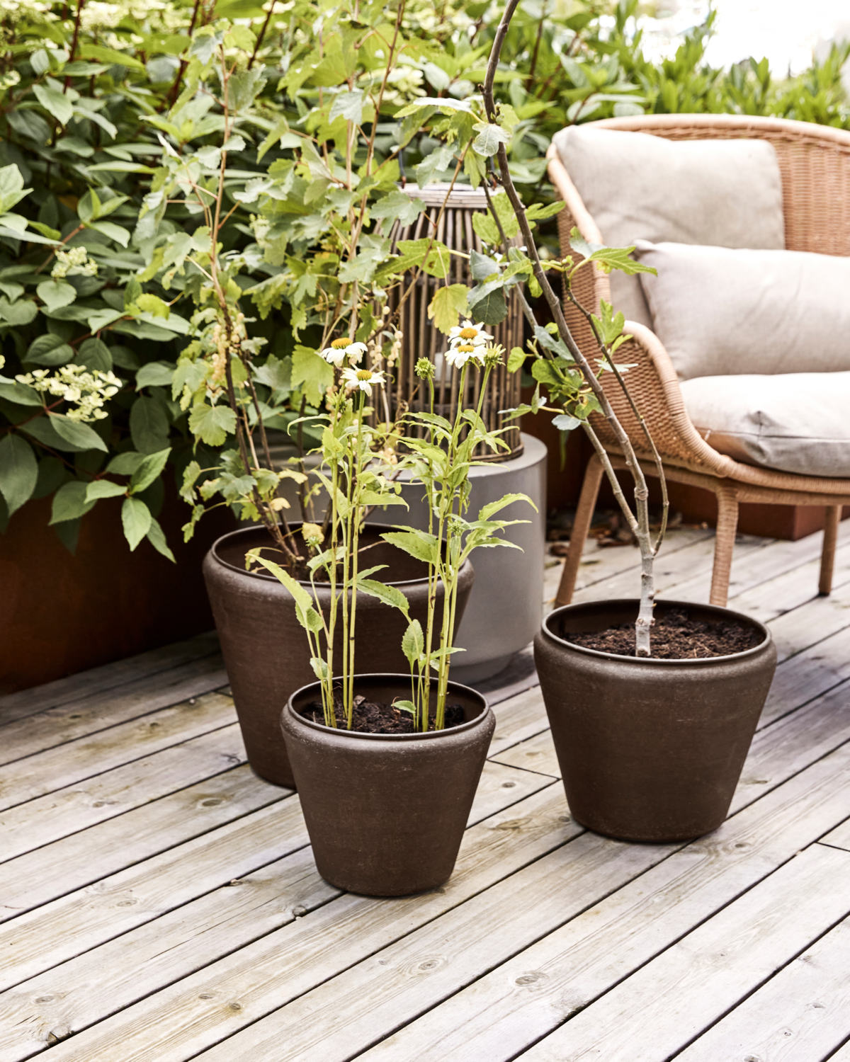 Blumentopf Funnel - 3er Set