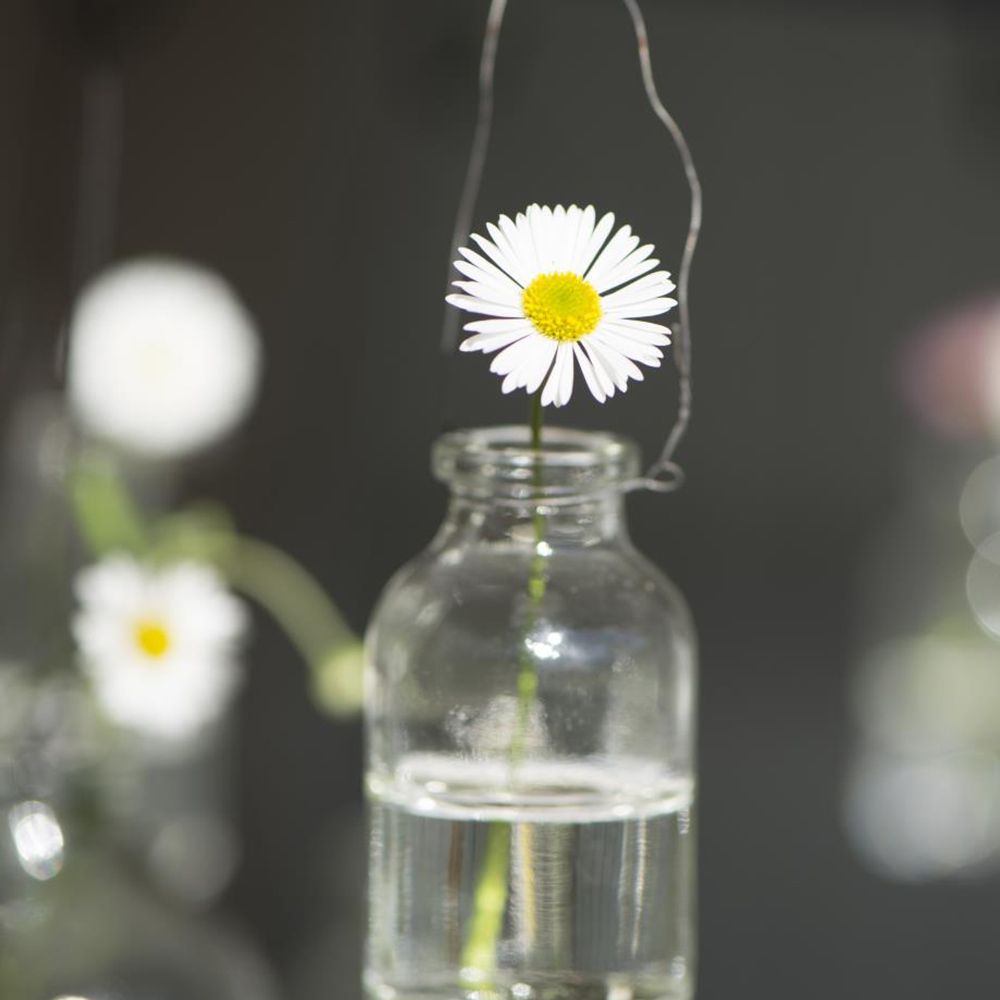 Mini Vase zum Aufhängen