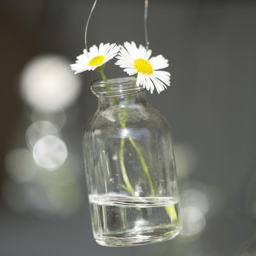 Mini Vase zum Aufhängen