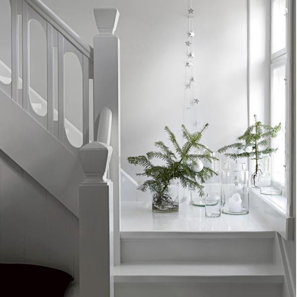 Hurricane Glas für Amaryllis - 40,5 cm