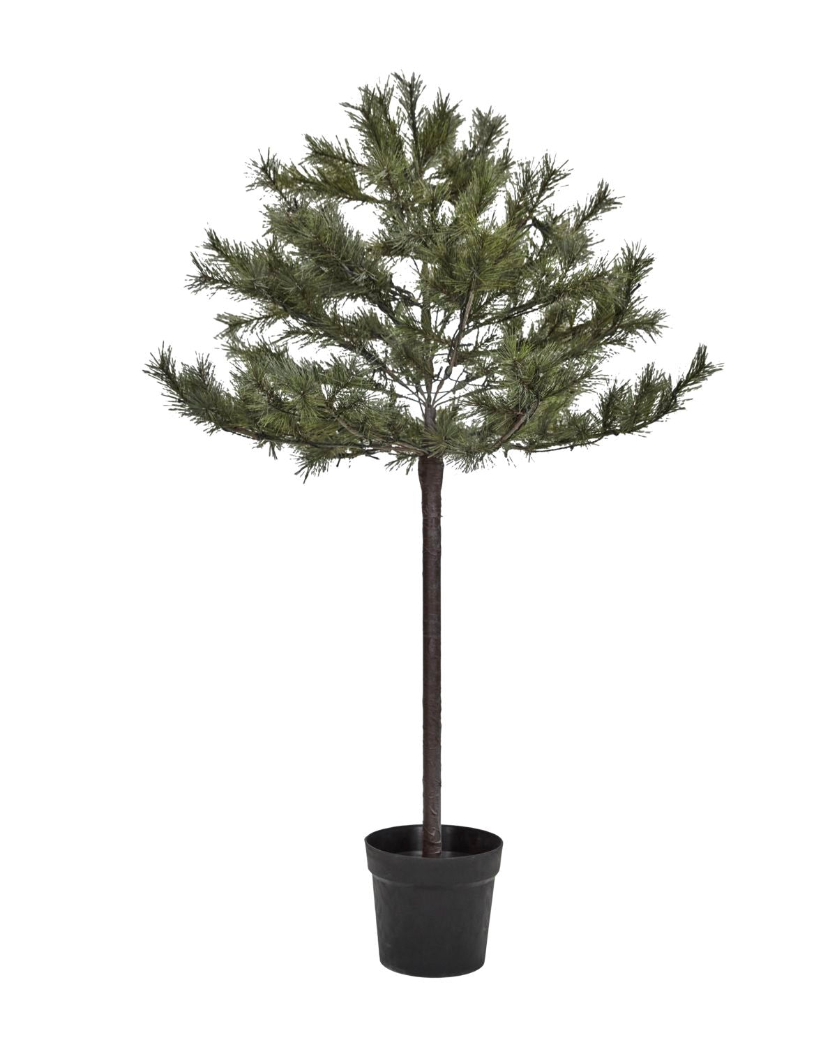 Weihnachtsbaum mit LED Lichtern Peuce - natur 150 cm