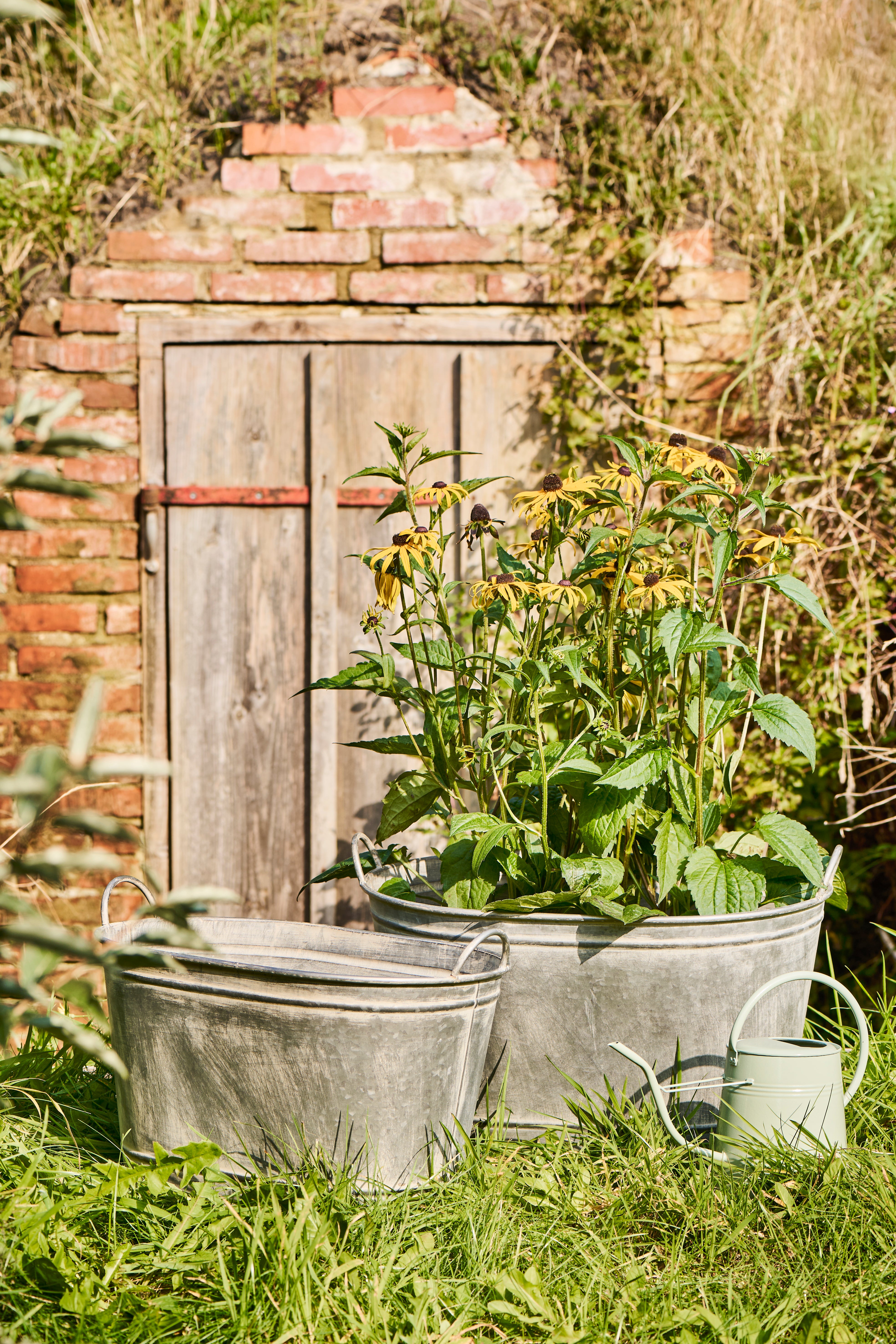 Kübelsatz Urban Garden