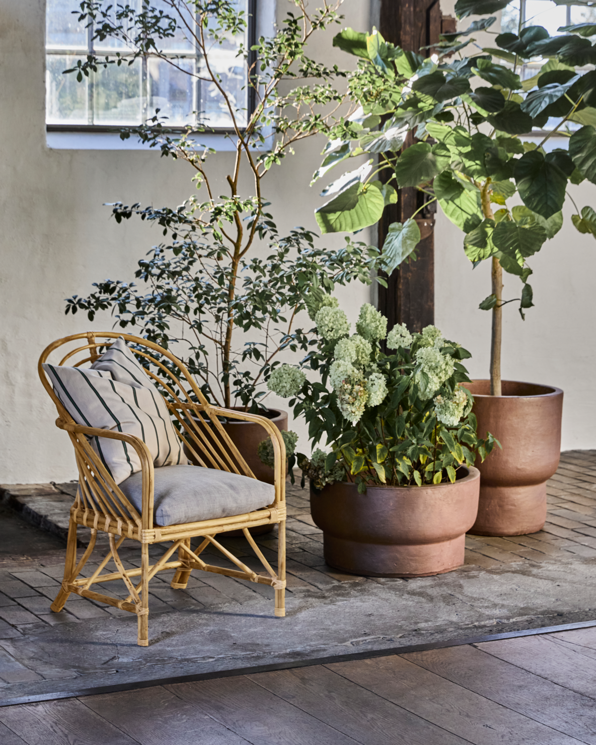 Lounge Sessel Cosy - Natur