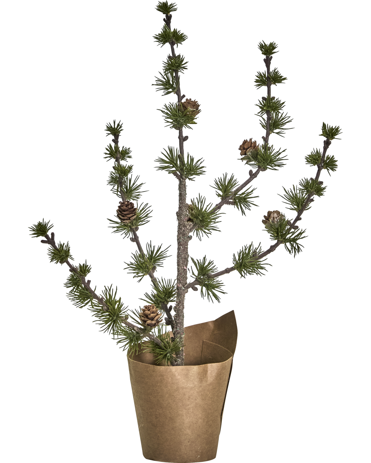 Weihnachtsbäumchen Stay - 40cm