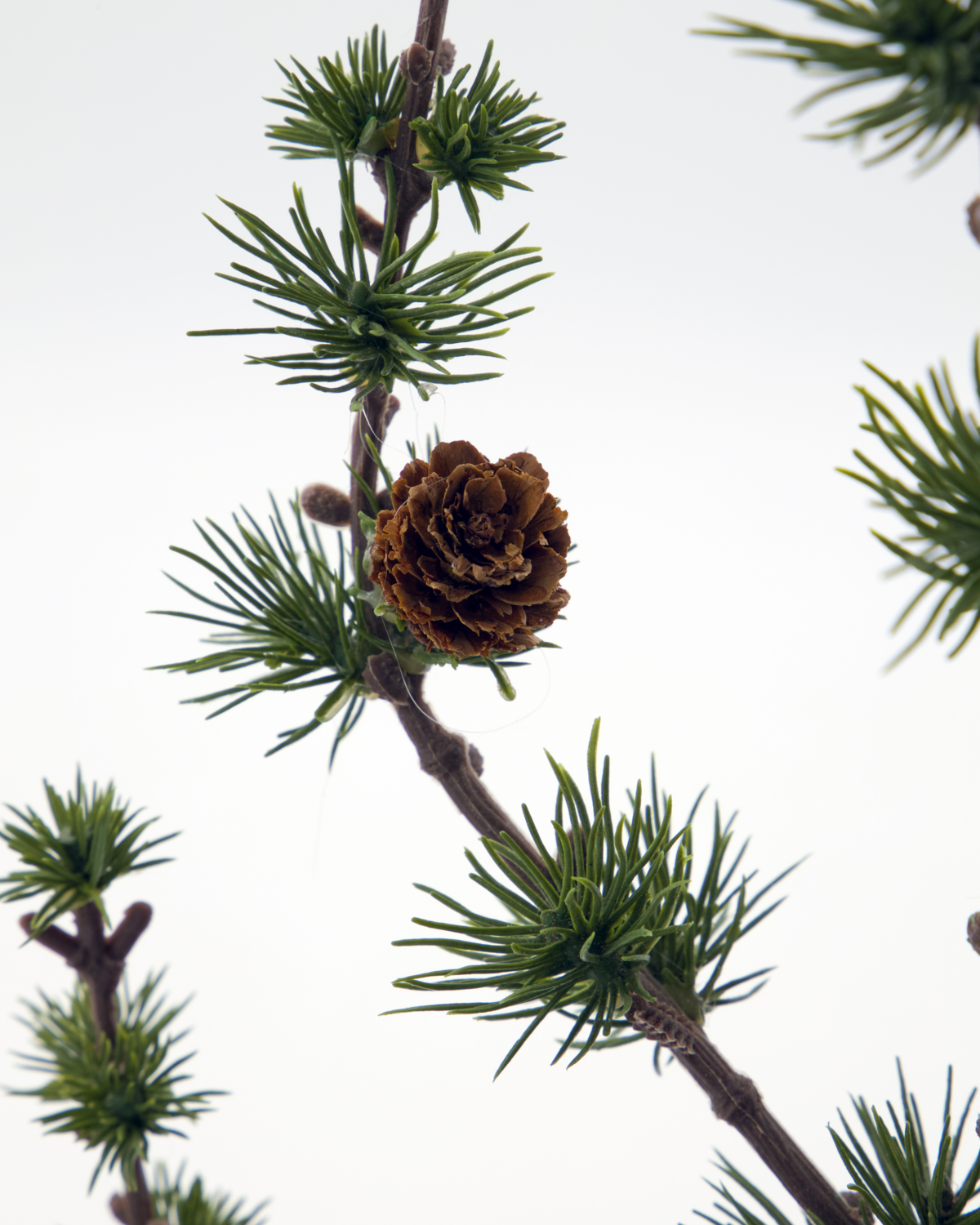 Weihnachtsbäumchen Stay - 40cm