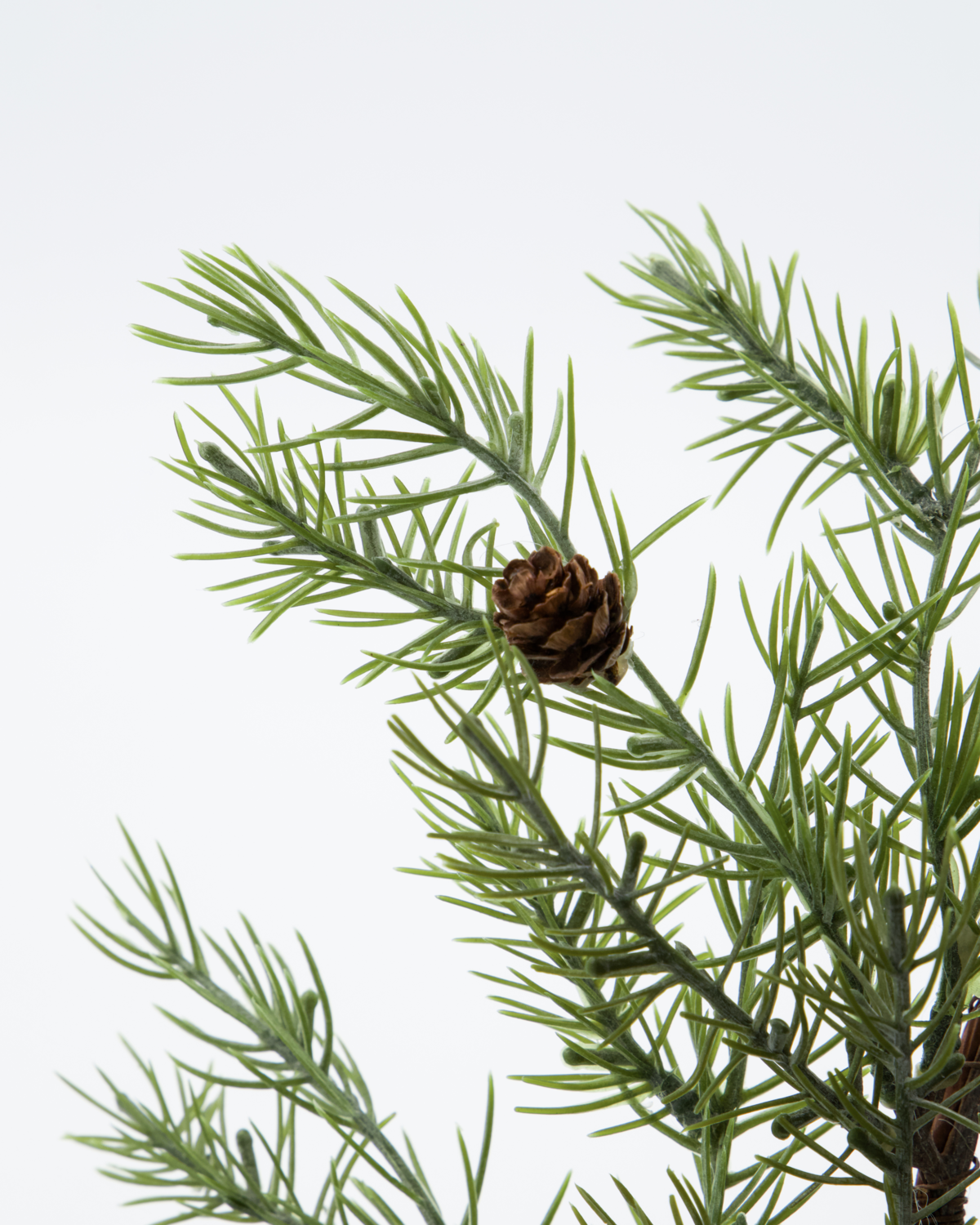 Girlande Sertum - 185cm
