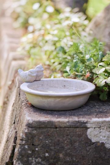 Vogelbad mit zwei Vögeln