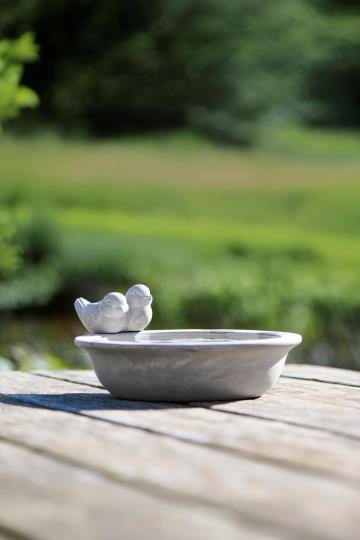 Vogelbad mit zwei Vögeln