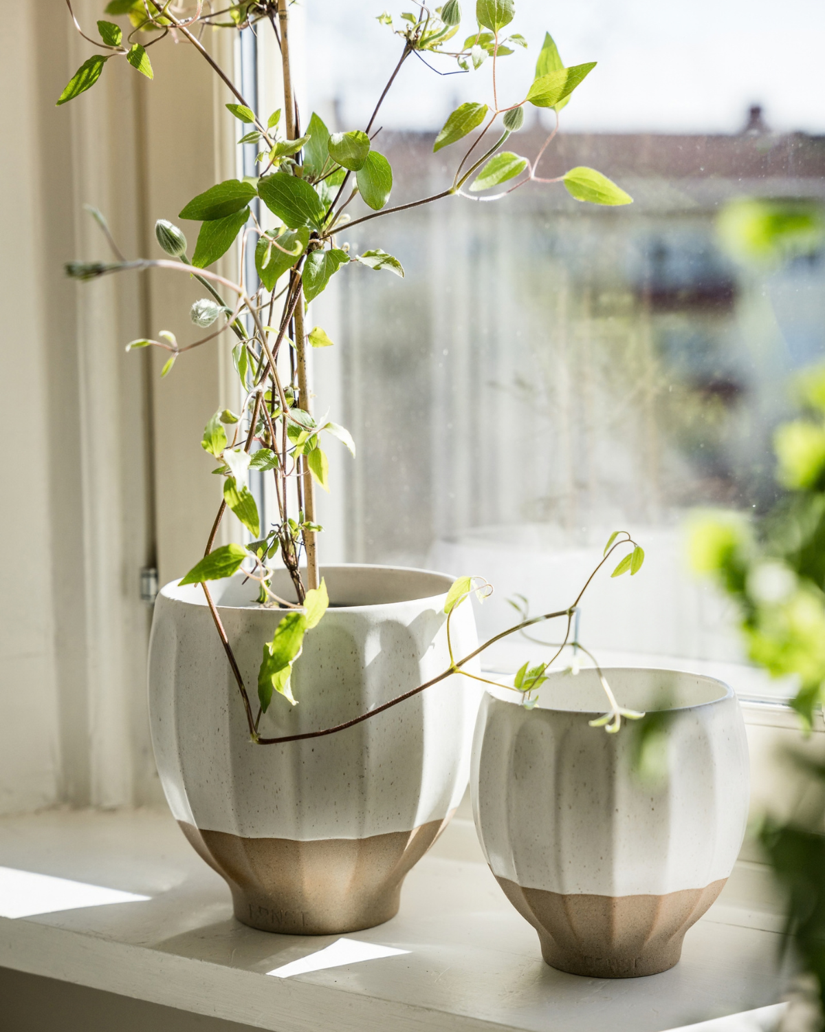 Übertopf aus Steingut - Weiß/Natur (14 cm)