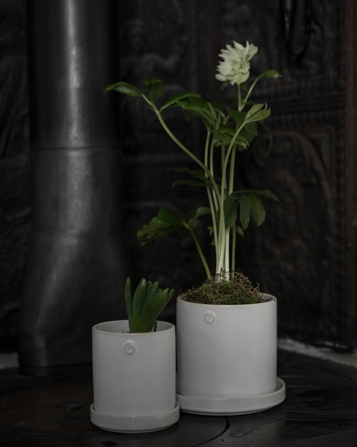 Blumentopf mit Untersetzer - Weiß Ø 10 cm