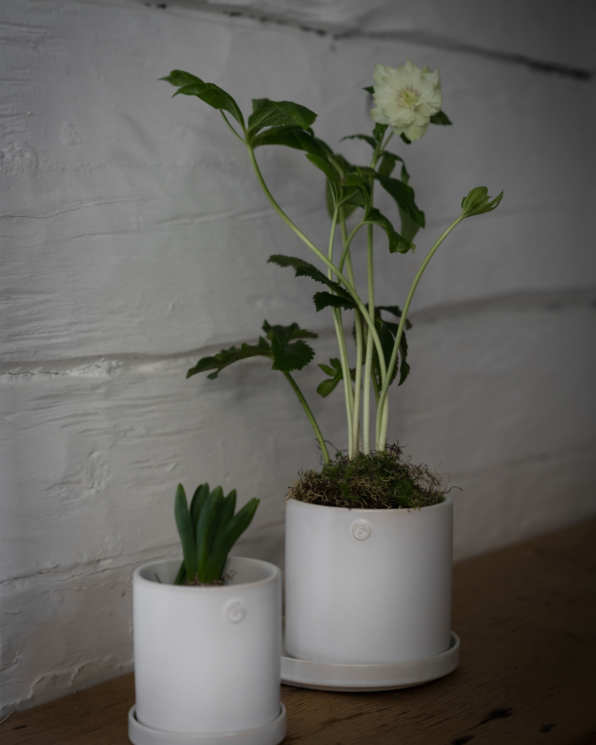 Blumentopf mit Untersetzer - Weiß Ø 13 cm