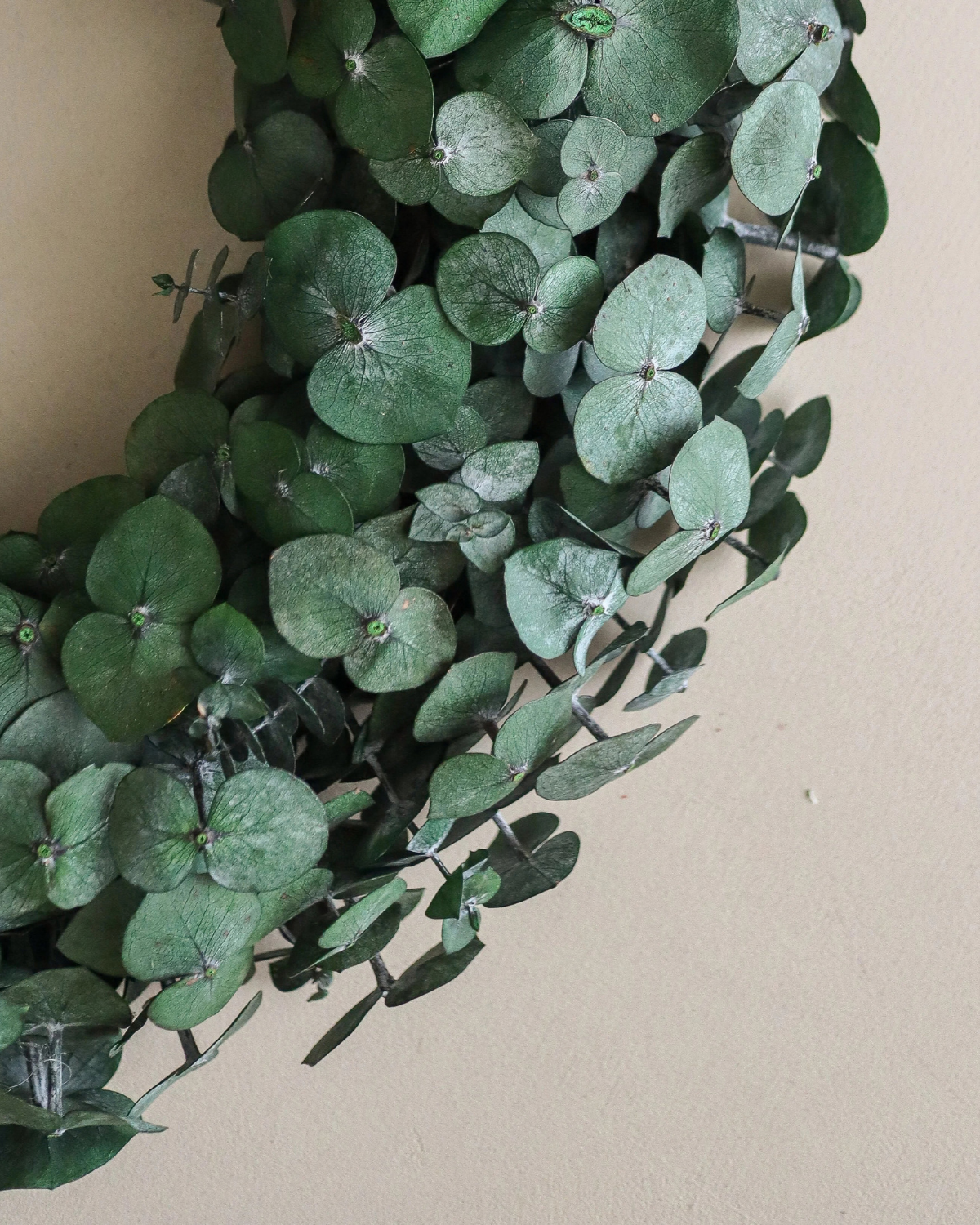 Kranz Eukalyptus - Green Eucalyptus Halo (Ø 40 cm)