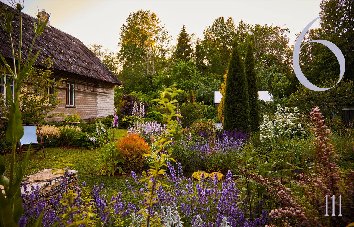 Island Gardens - Englisch