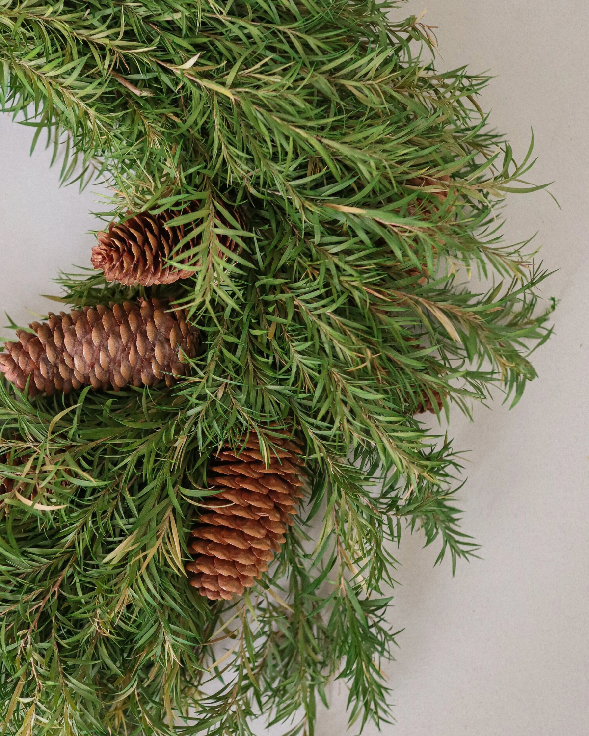 Kranz Kiefer - Evergreen Pine Wreath (Ø 40 cm)