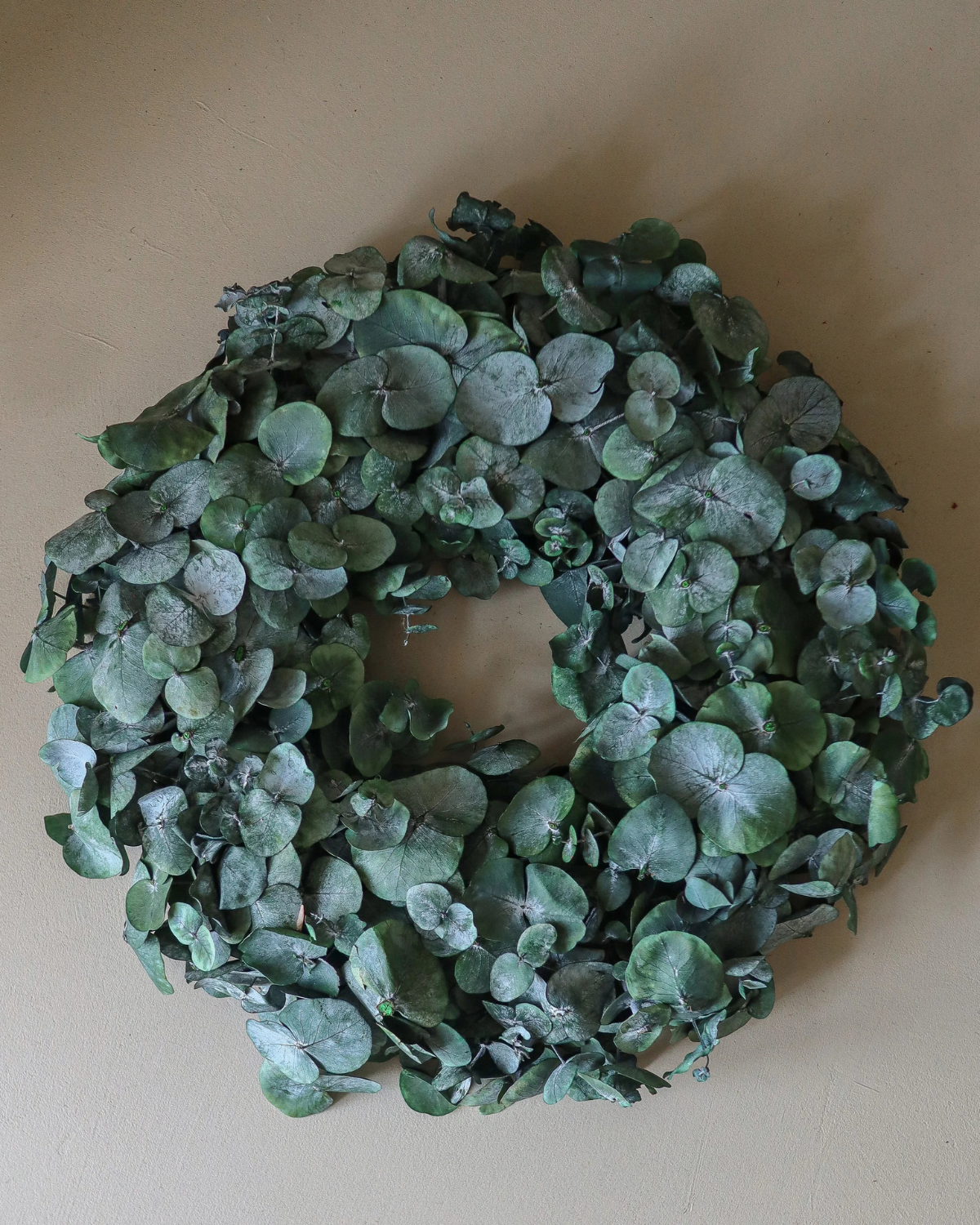 Kranz Eukalyptus - Dusty Green Eucalyptus Wreath (Ø 40 cm)