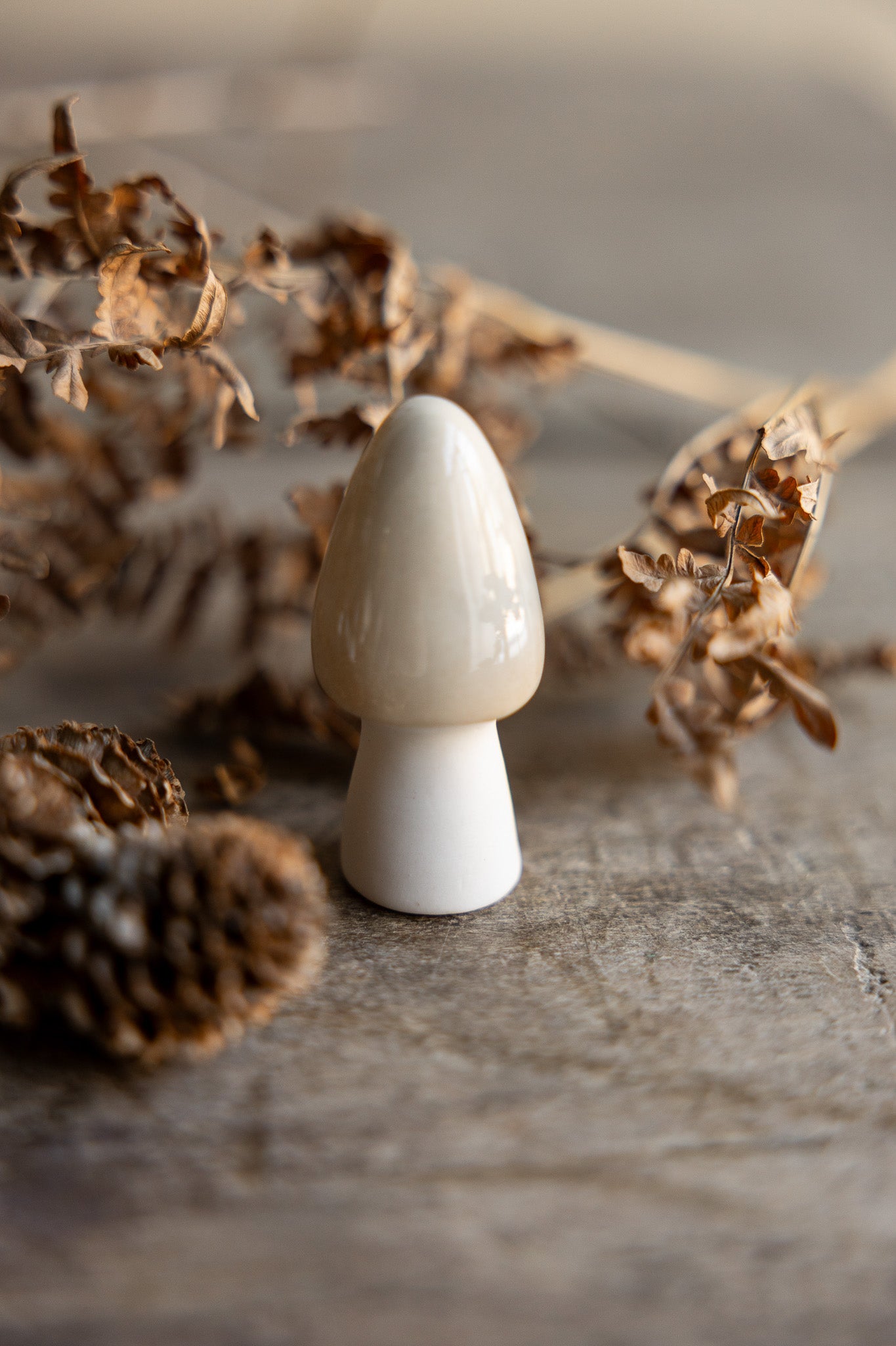 Deko-Pilz Bohult - beige