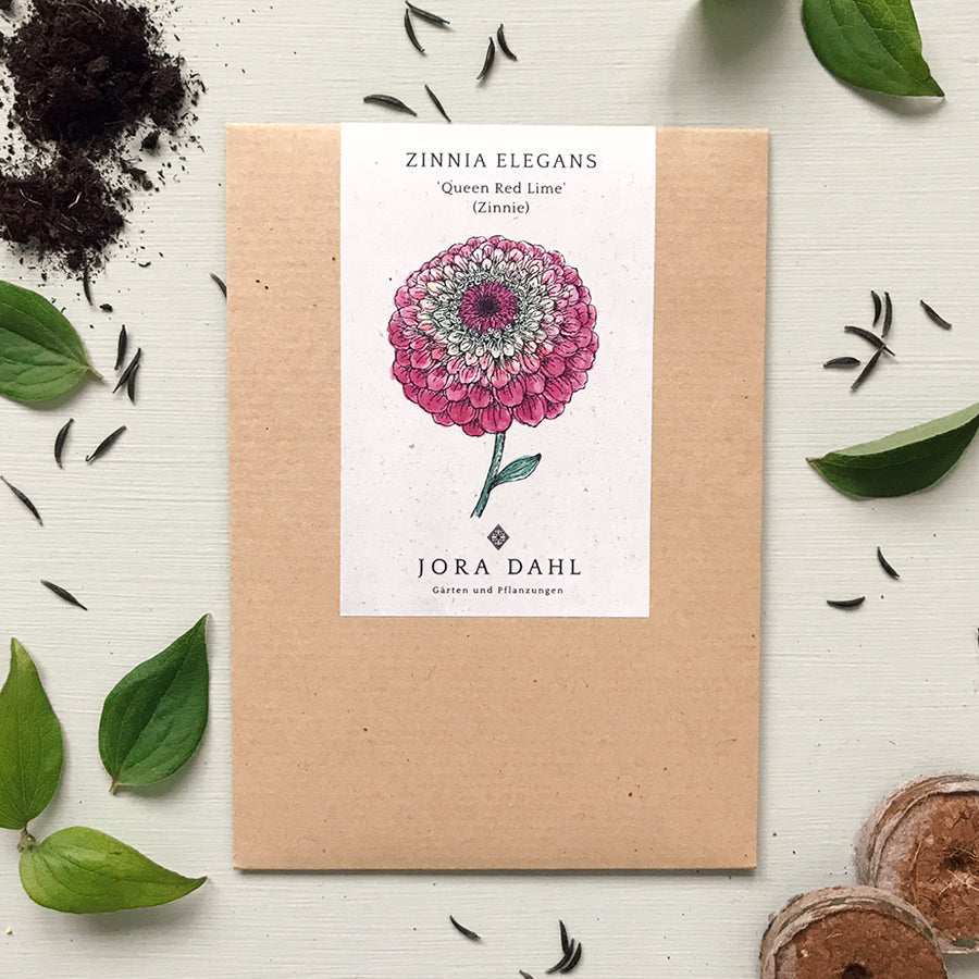 Blumensamen - Zinnia elegans "Queen Red Lime" (Zinnie)