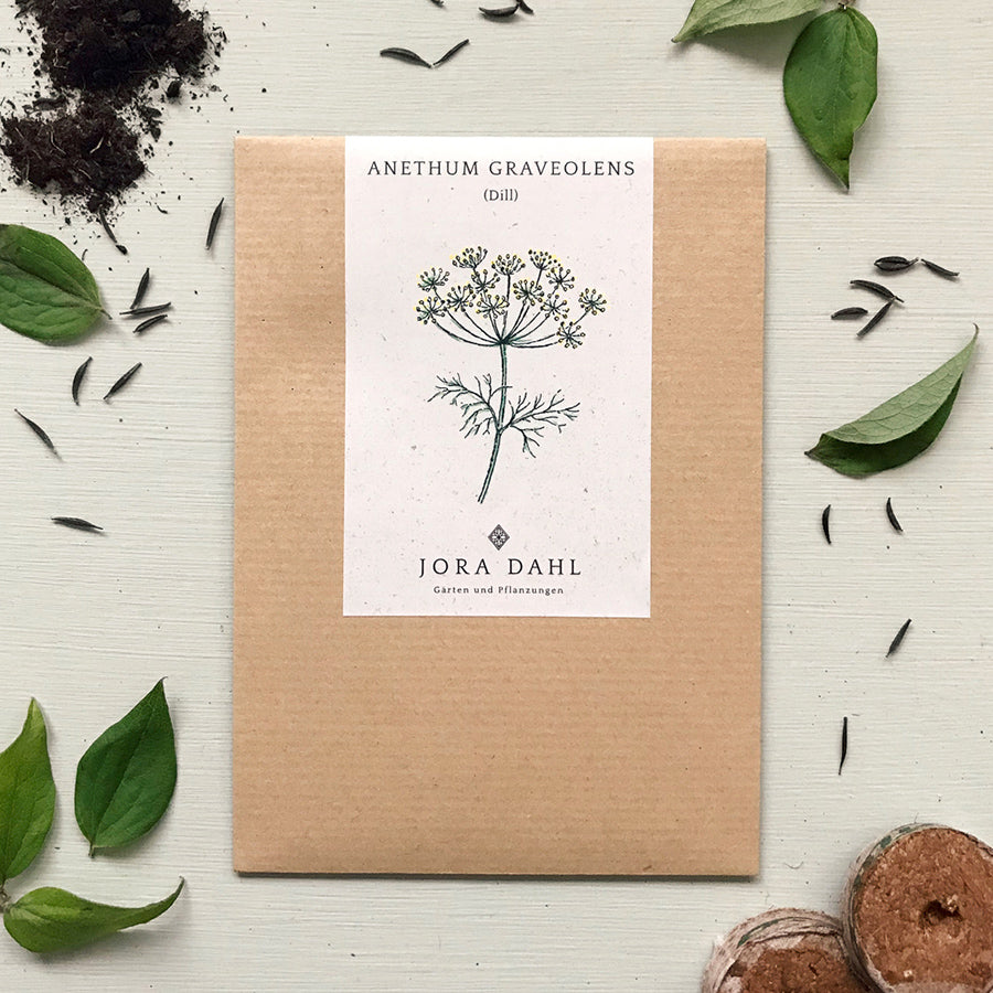 Blumensamen - Anethum Graveolens (Dill)