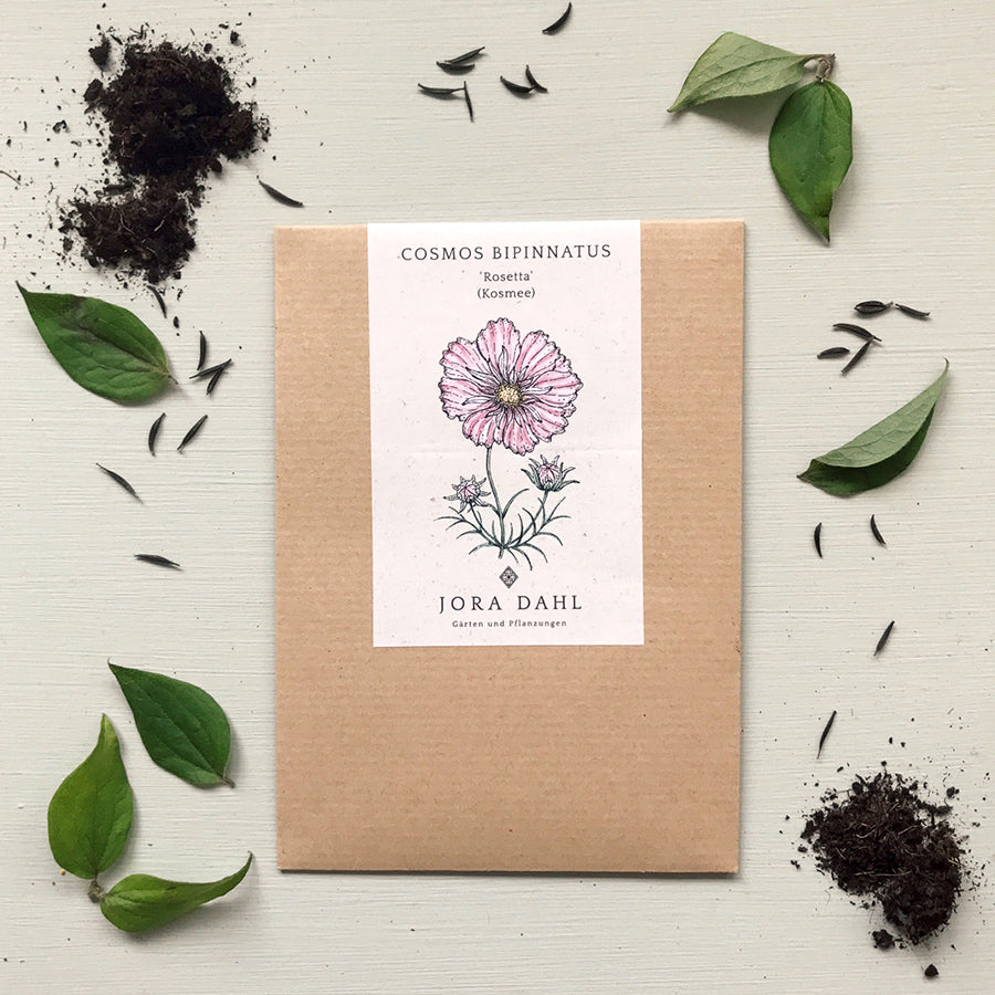 Blumensamen - Cosmos bipinnatus "Rosetta" (Kosmee)