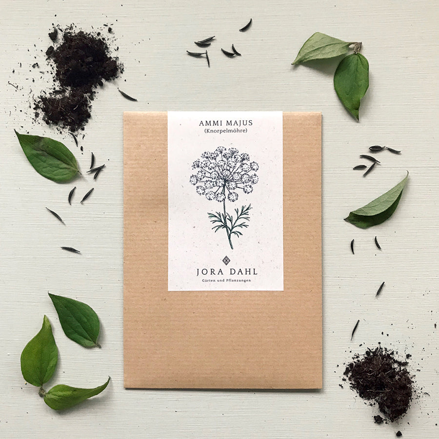 Blumensamen - "Ammi Majus" (Knorpelmöhre)