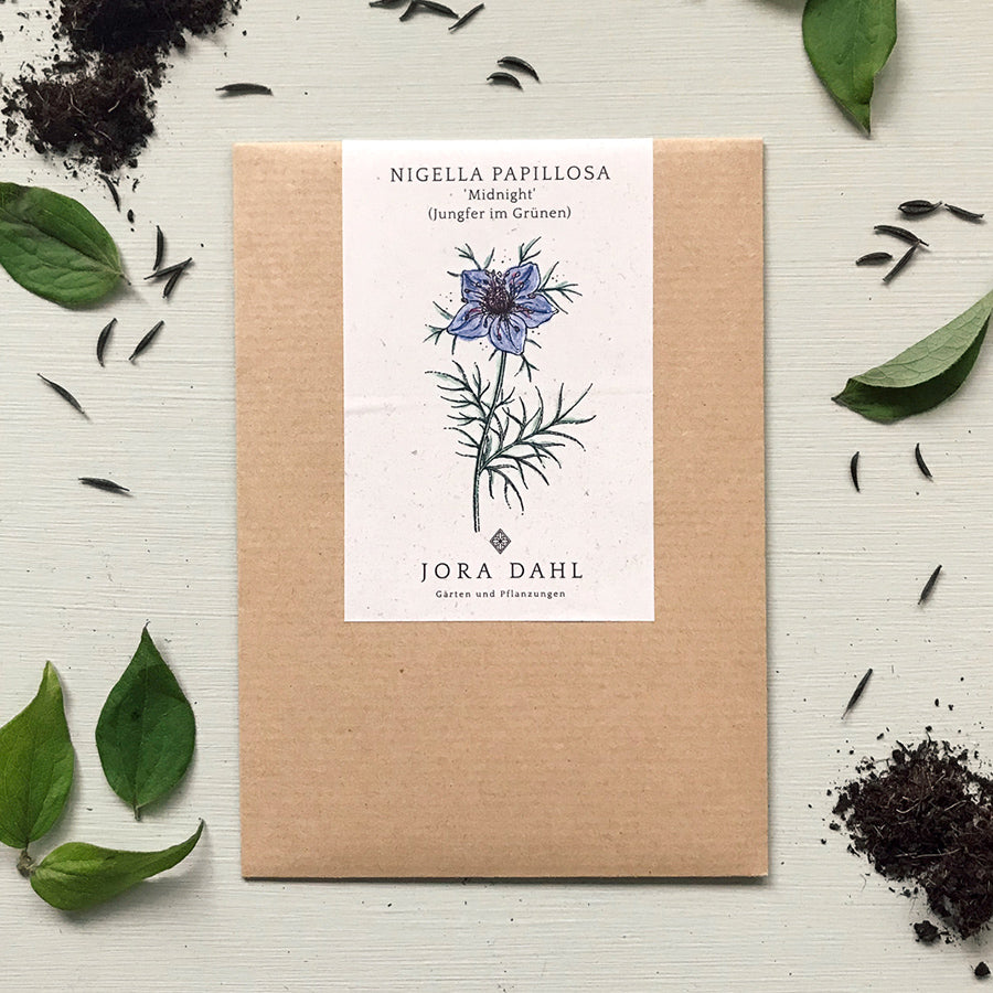 Blumensamen - Nigella Hispanica "Midnight" (Jungfer im Grünen)