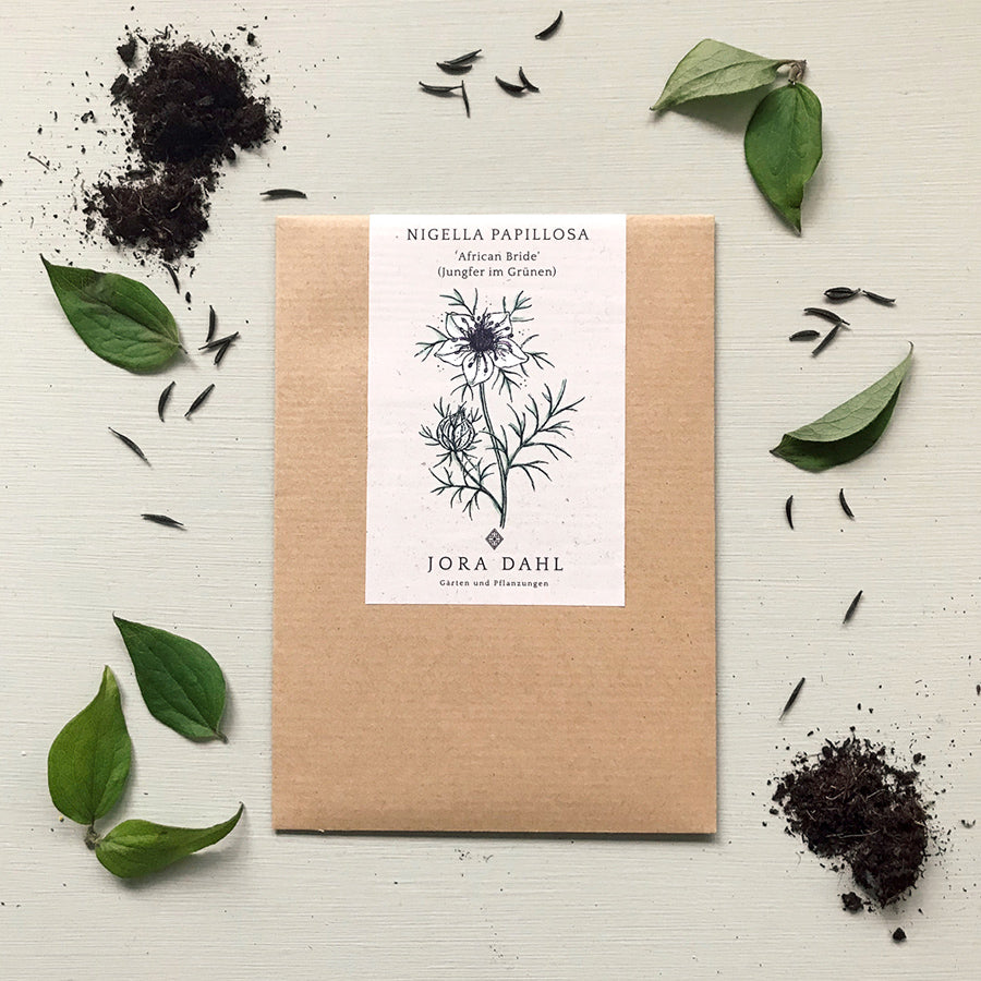 Blumensamen - Nigella Papillosa "African Bride" (Jungfer im Grünen)
