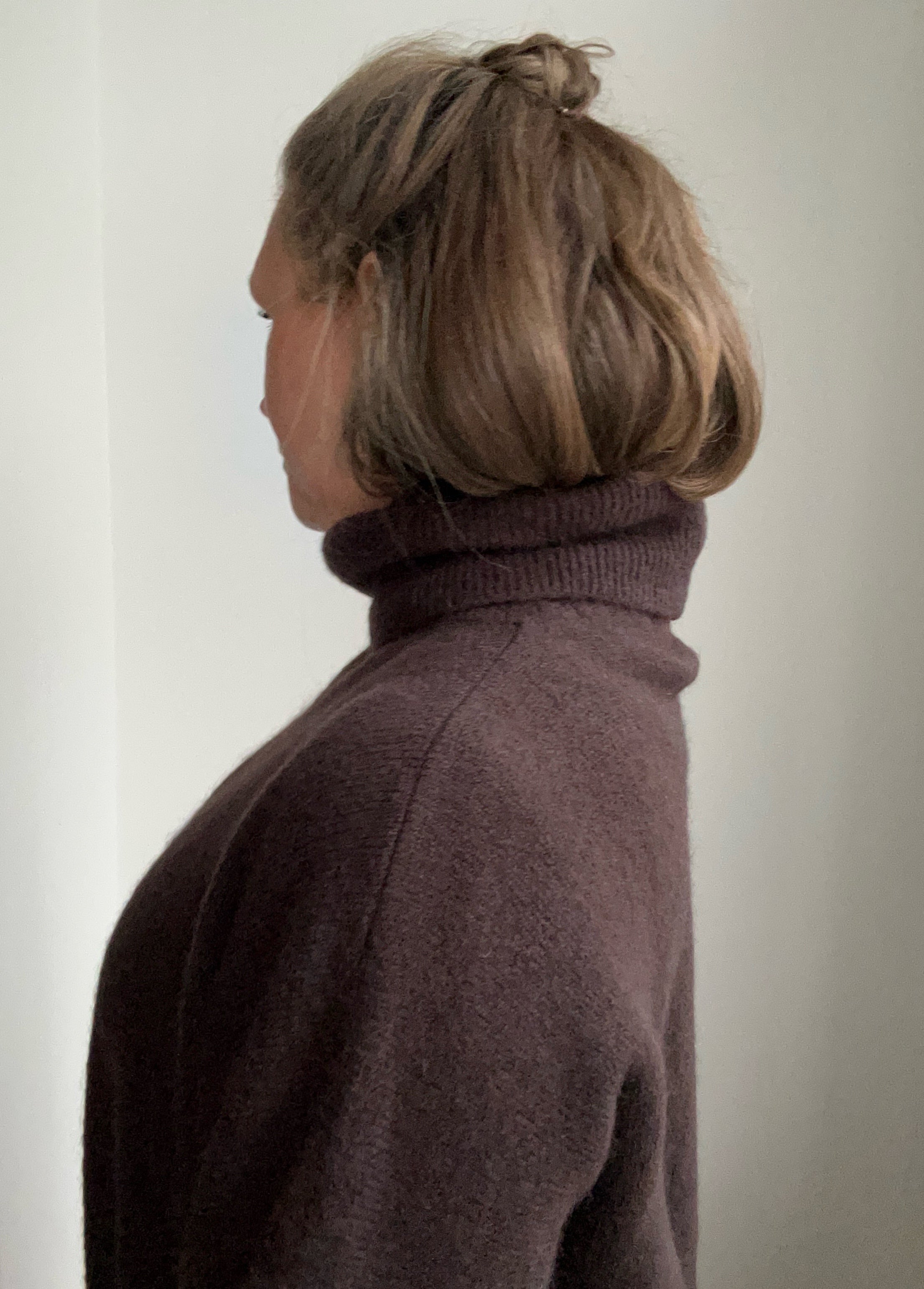 Rollkragen Pullover schokobraun