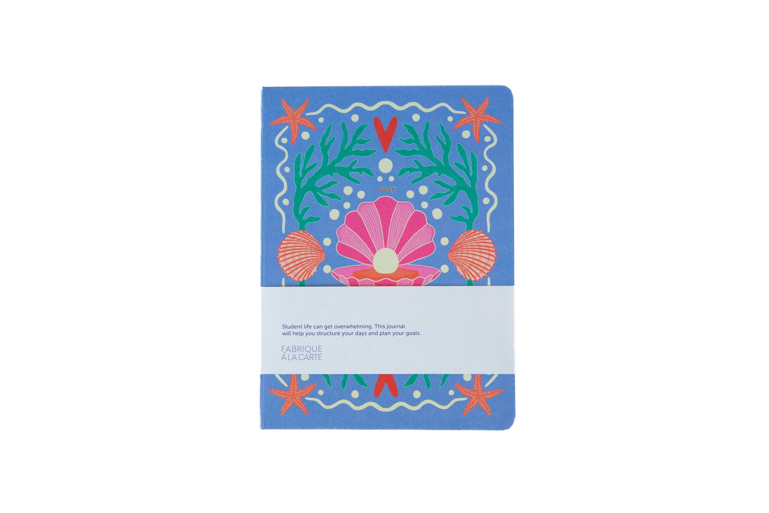 Planer 2026–2027 - Shell-Lavendel
