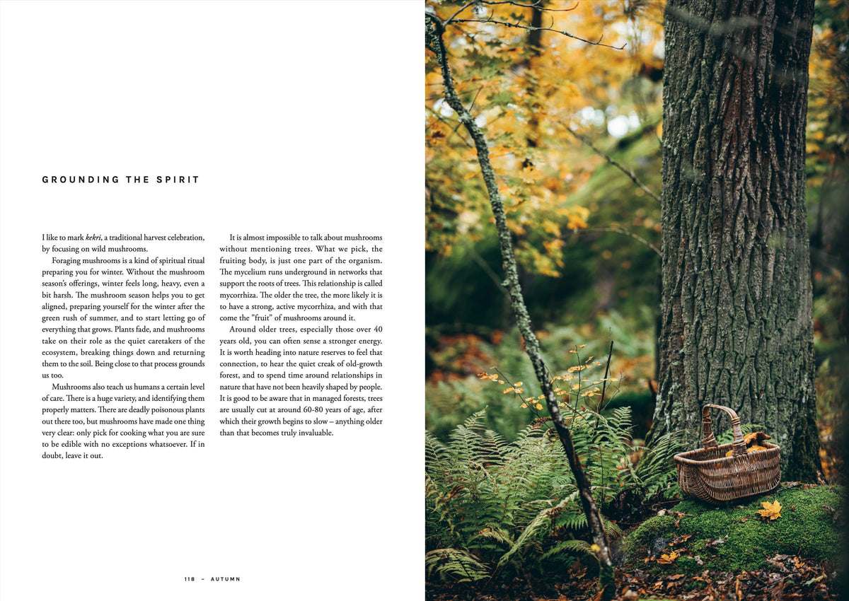 Chef’s Wild Nordic - Englisch