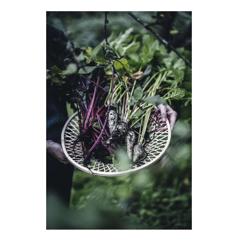 Buch - From Oven to Table