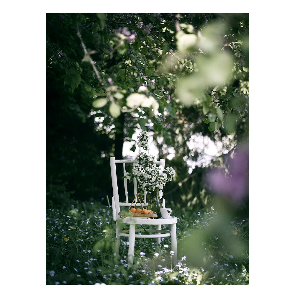 Buch - From Oven to Table