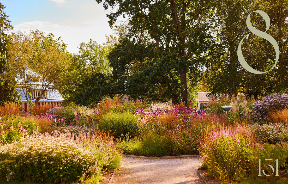 Island Gardens - Englisch