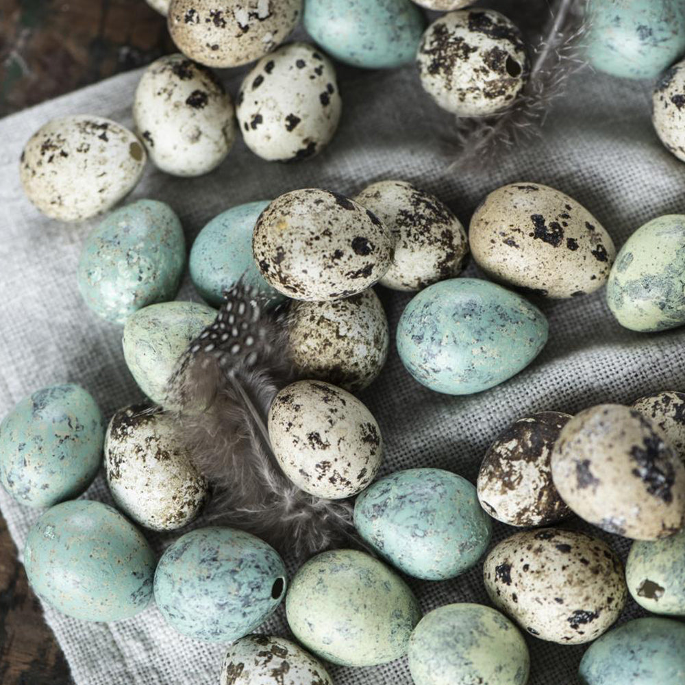 Wachteleier - natur 60 Stück