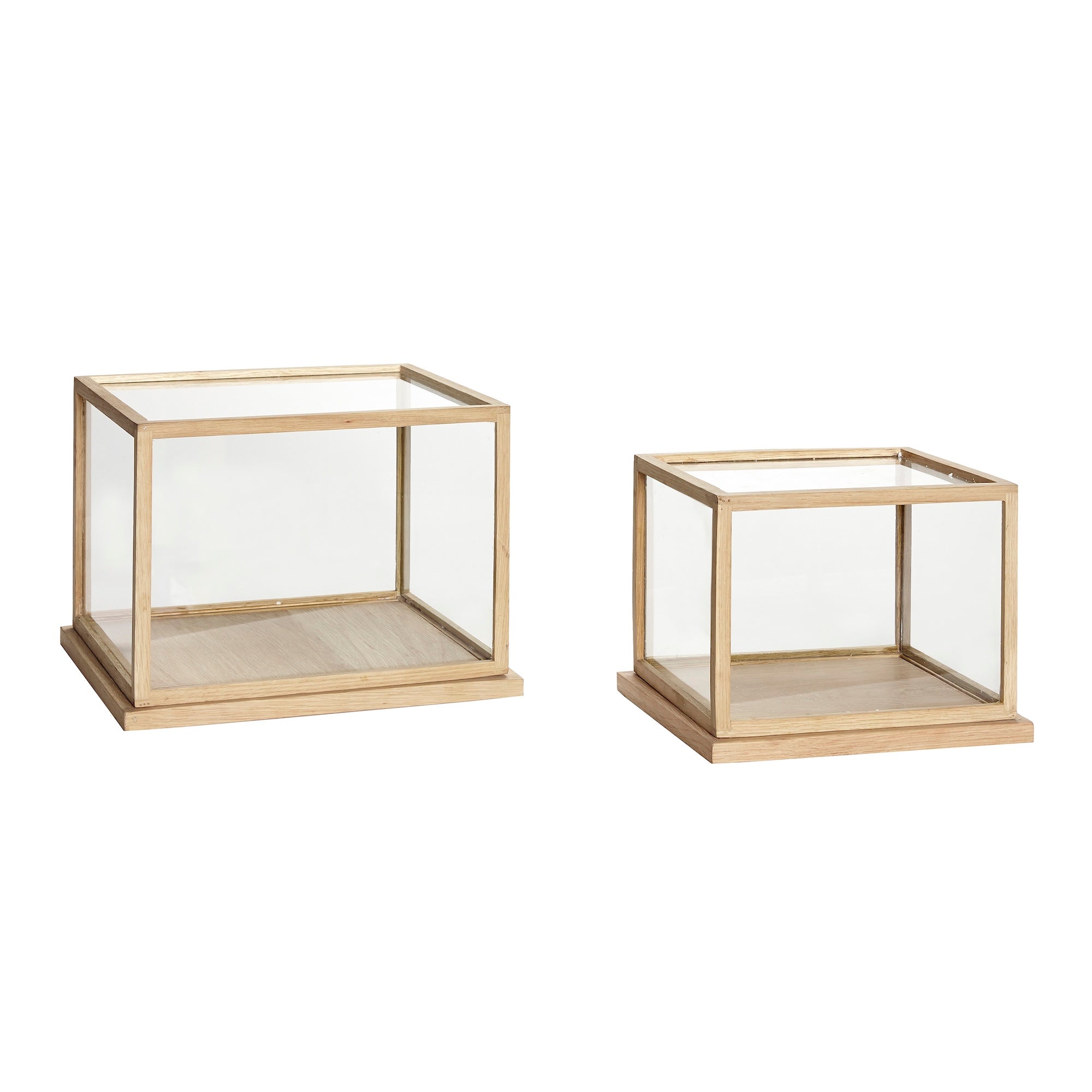 Box Spectacle - 29cm