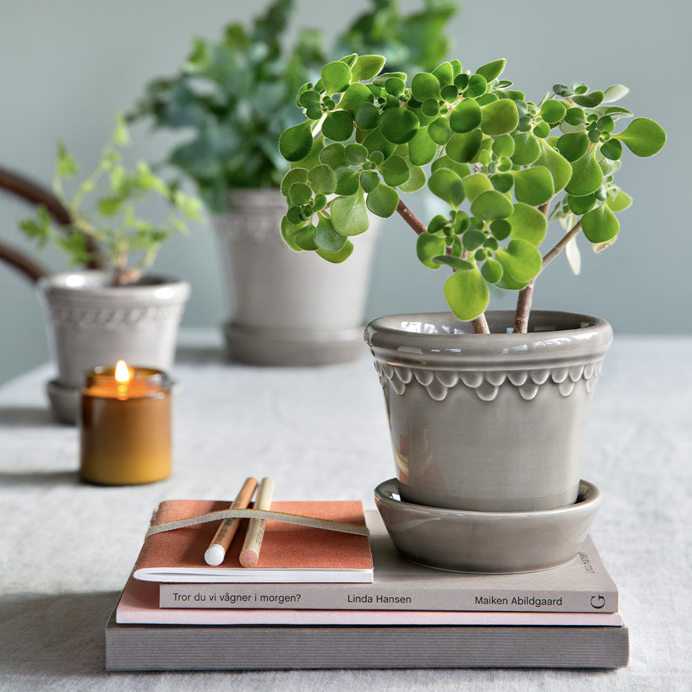Blumentopf mit Untersetzer - Copenhagen pearl grey