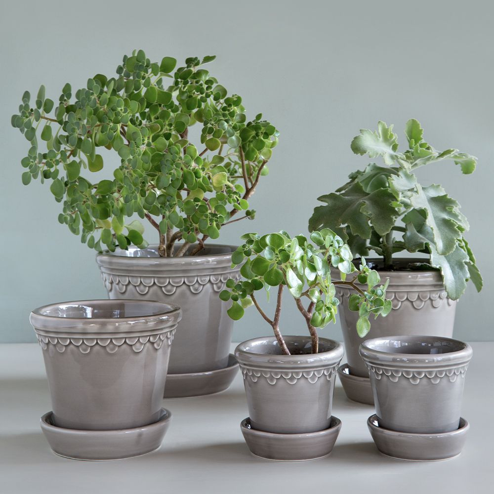 Blumentopf mit Untersetzer - Copenhagen pearl grey