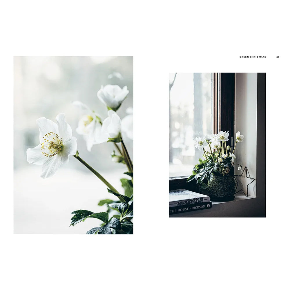 Buch - Green Christmas - Wreaths & Floral Arrangements