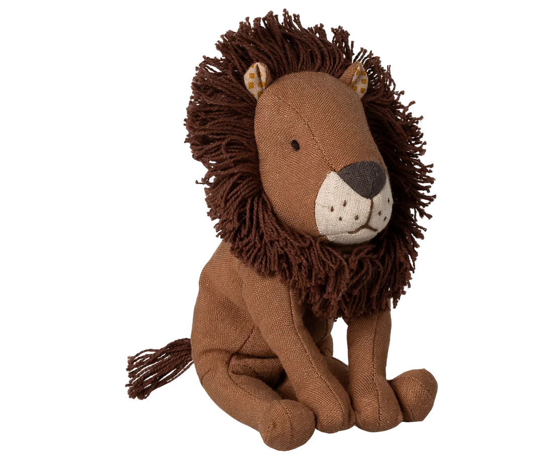 Kleiner Leo