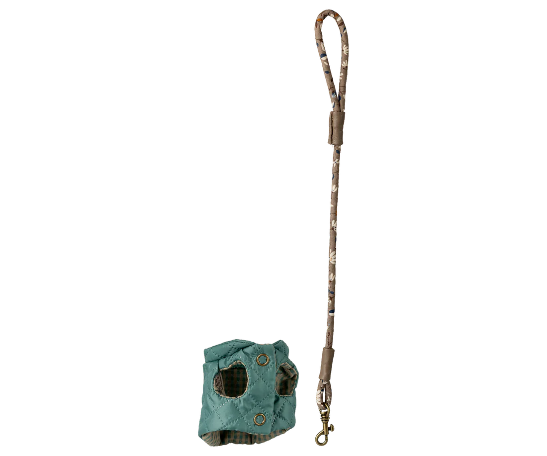 Haustierhalsband und Leine - Minze