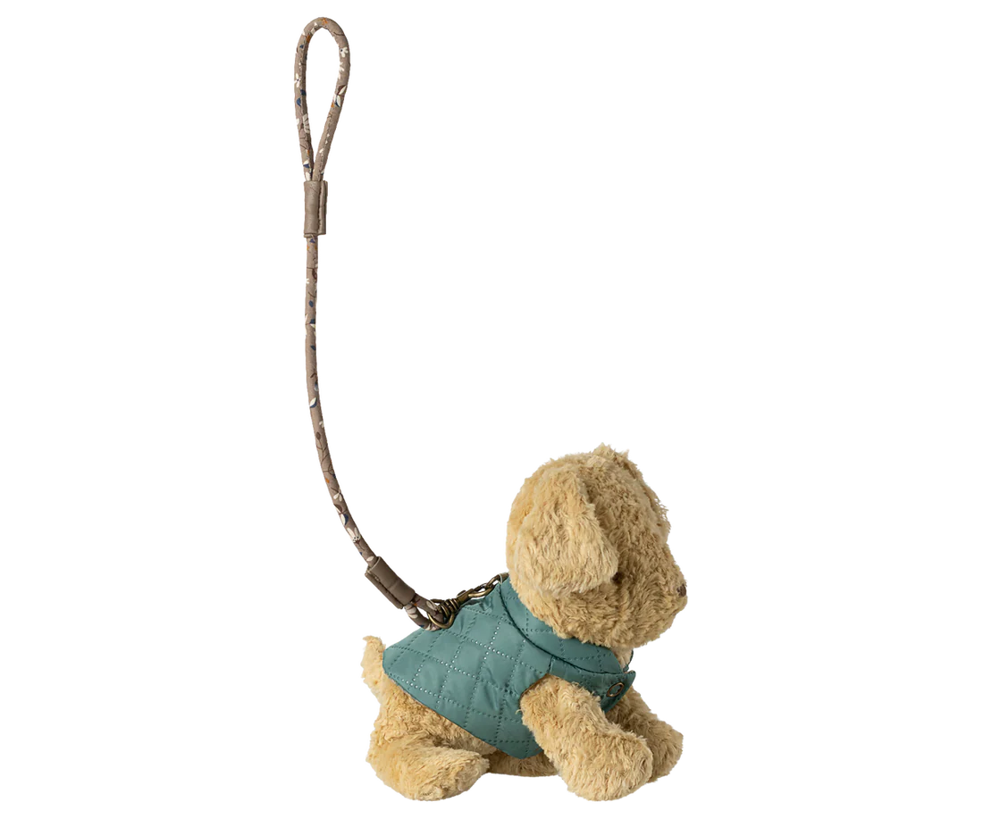 Haustierhalsband und Leine - Minze