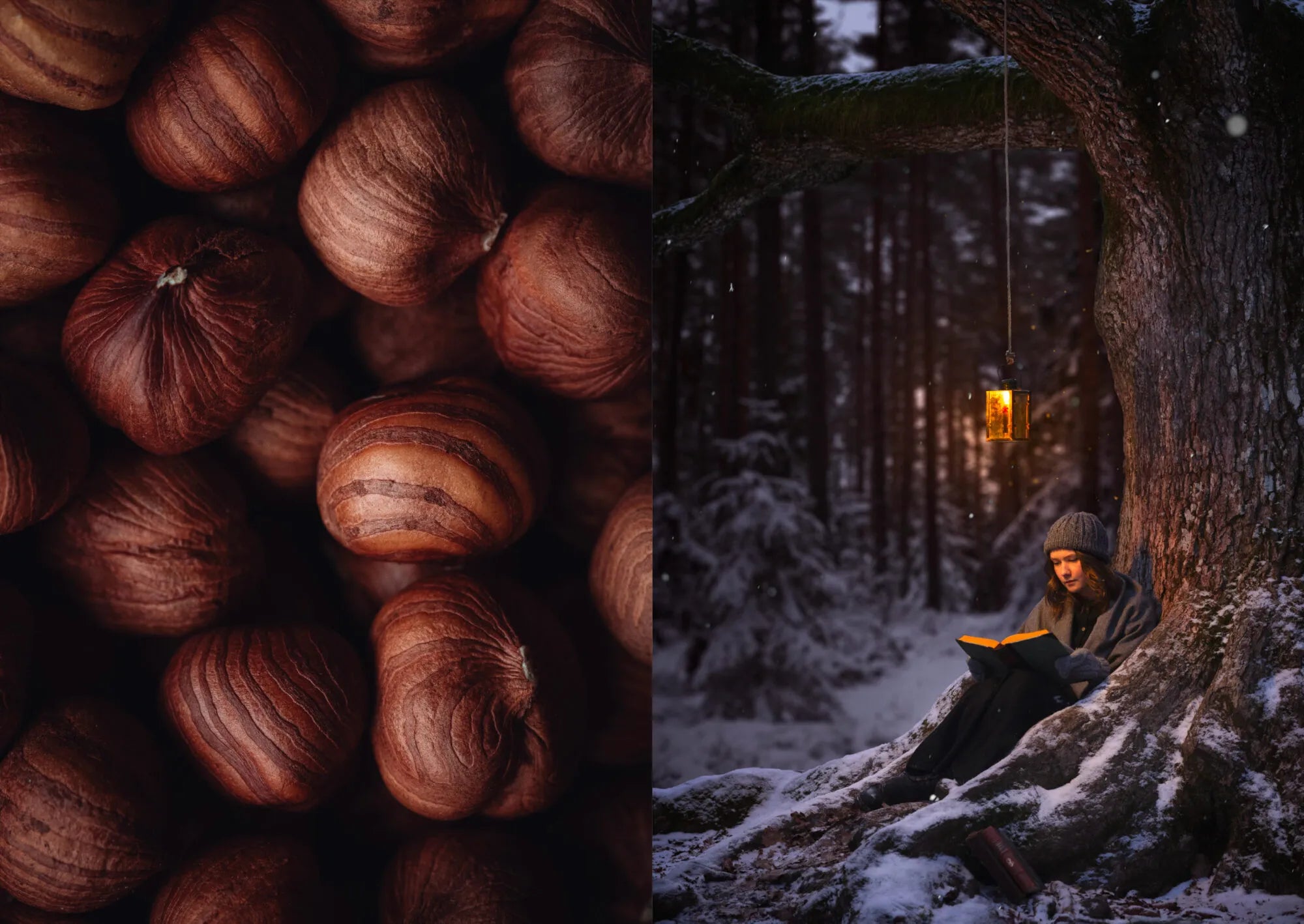 Buch - The Art of Fun Dining